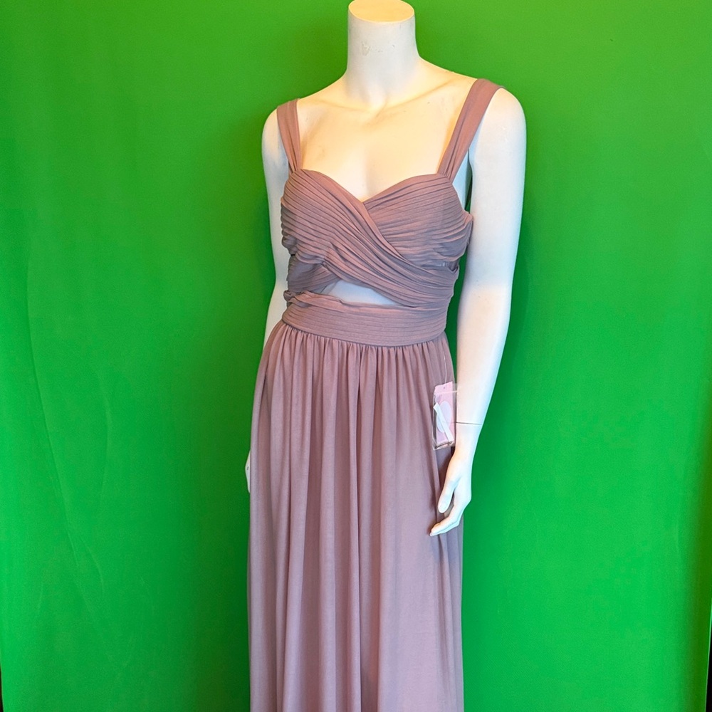 Birdy Grey Strapless Mauve Dress
